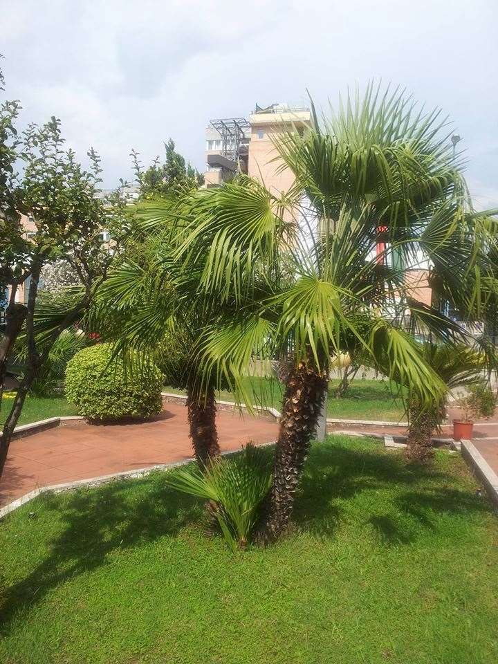Hotel De La Ville Central ลาตินา สิ่งอำนวยความสะดวก รูปภาพ